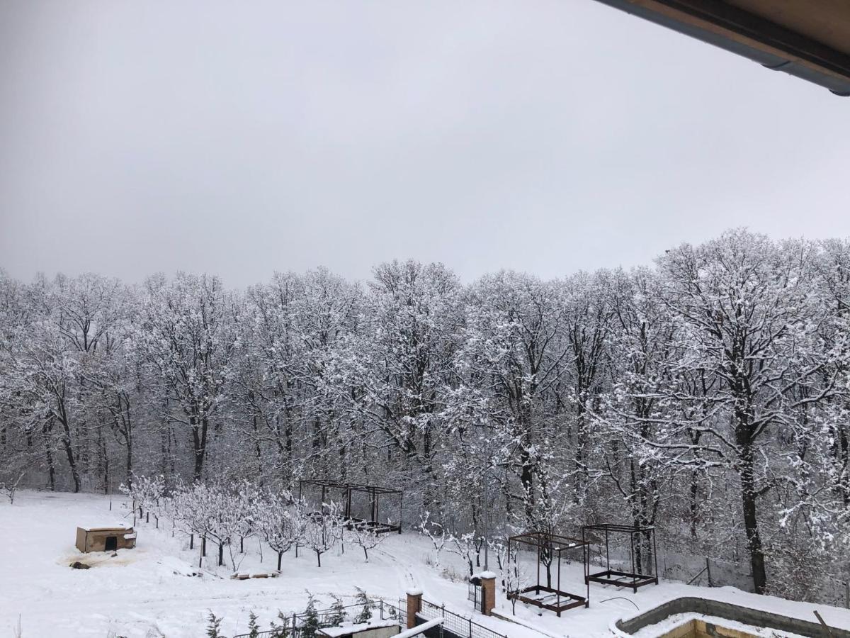 MARADA felix Hotel Harangmező Kültér fotó